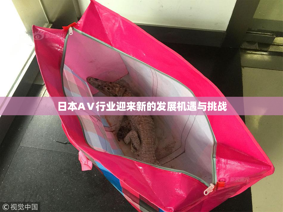 日本AⅤ行业迎来新的发展机遇与挑战