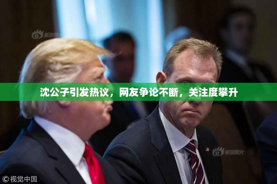 沈公子引发热议，网友争论不断，关注度攀升
