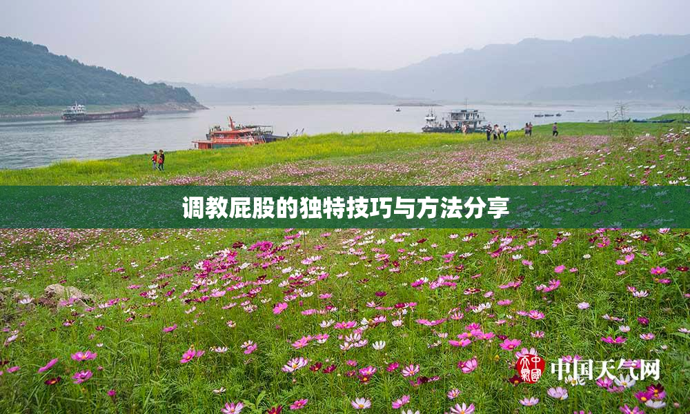 调教屁股的独特技巧与方法分享