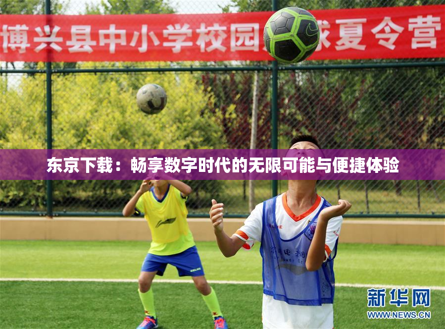 东京下载：畅享数字时代的无限可能与便捷体验