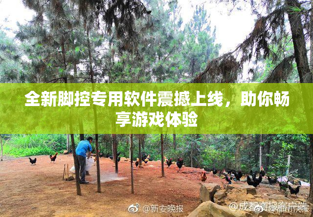 全新脚控专用软件震撼上线，助你畅享游戏体验