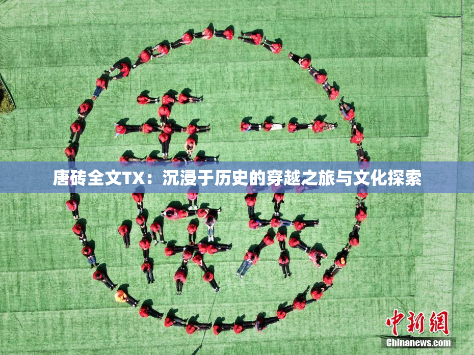 唐砖全文TX：沉浸于历史的穿越之旅与文化探索