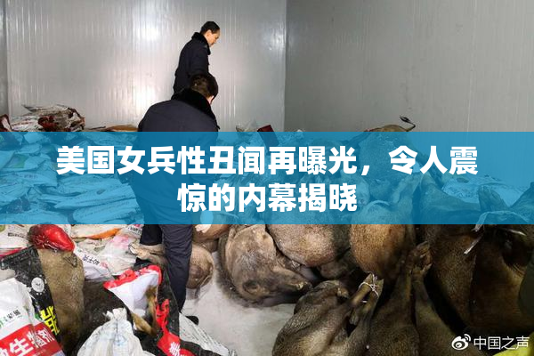美国女兵性丑闻再曝光，令人震惊的内幕揭晓