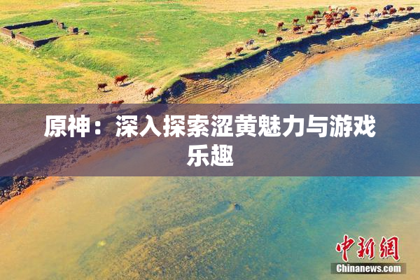 原神：深入探索涩黄魅力与游戏乐趣