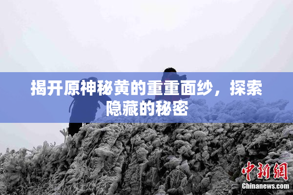 揭开原神秘黄的重重面纱，探索隐藏的秘密