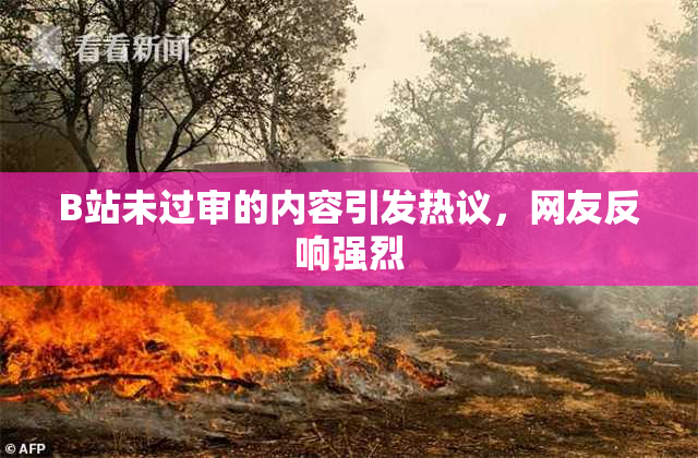 B站未过审的内容引发热议，网友反响强烈