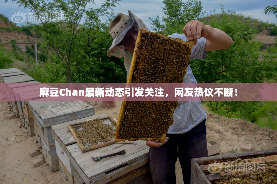 麻豆Chan最新动态引发关注，网友热议不断！