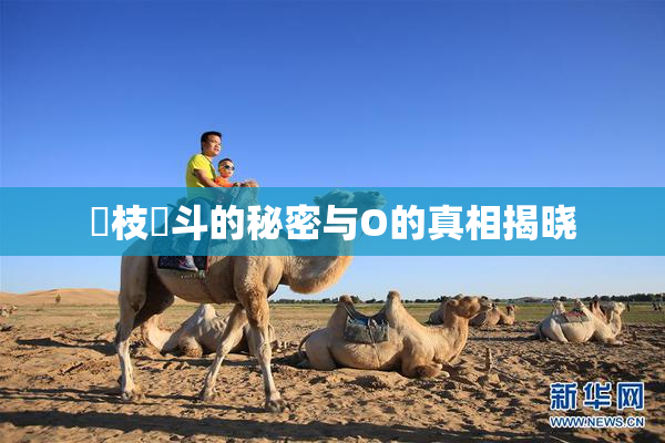 狛枝凪斗的秘密与O的真相揭晓