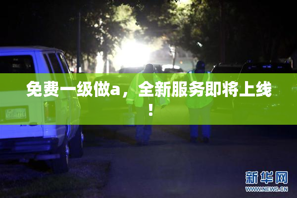 免费一级做a，全新服务即将上线！