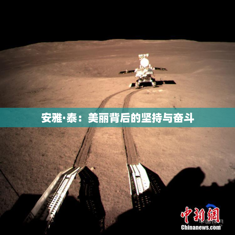 安雅·泰：美丽背后的坚持与奋斗