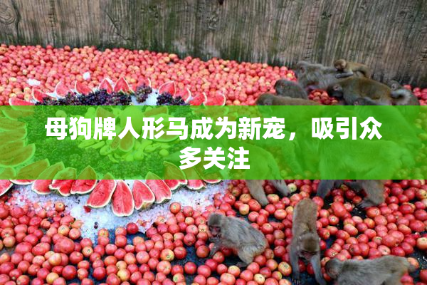 母狗牌人形马成为新宠，吸引众多关注