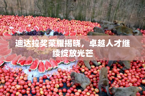迪达拉奖荣耀揭晓，卓越人才继续绽放光芒
