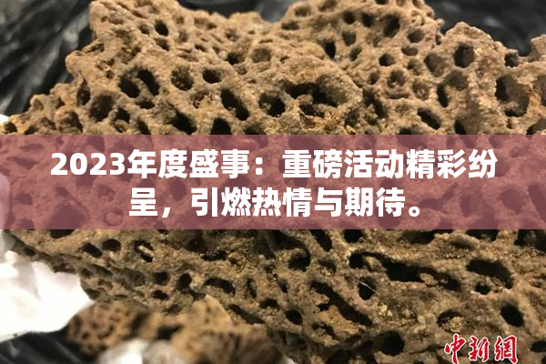 2023年度盛事：重磅活动精彩纷呈，引燃热情与期待。