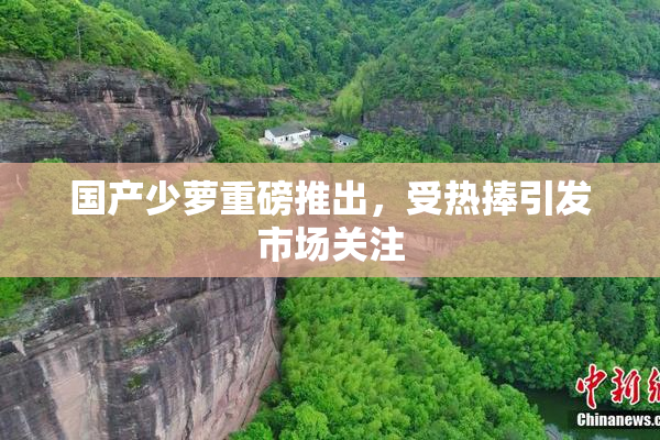 国产少萝重磅推出，受热捧引发市场关注