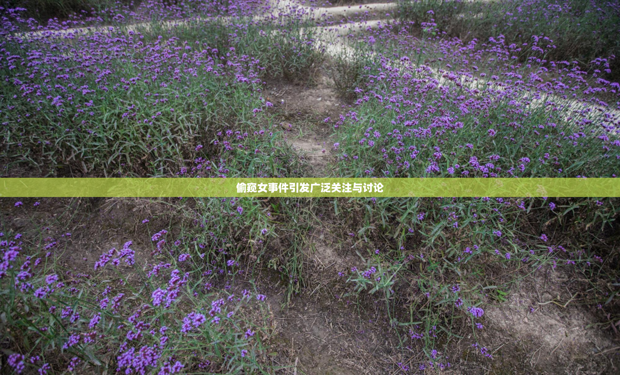 偷窥女事件引发广泛关注与讨论