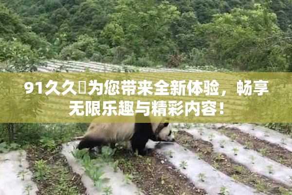 91久久擼为您带来全新体验，畅享无限乐趣与精彩内容！