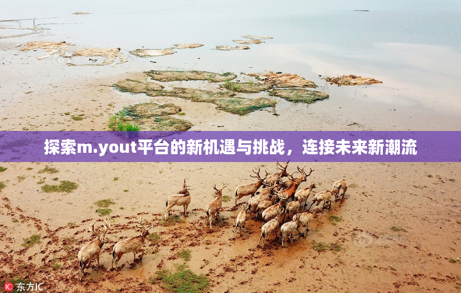 探索m.yout平台的新机遇与挑战，连接未来新潮流