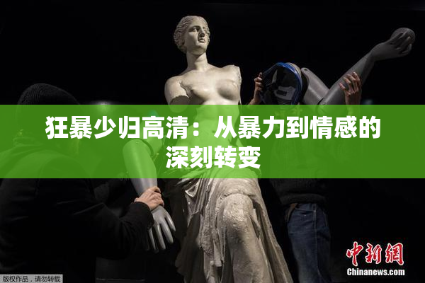 狂暴少归高清：从暴力到情感的深刻转变