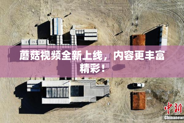蘑菇视频全新上线，内容更丰富精彩！