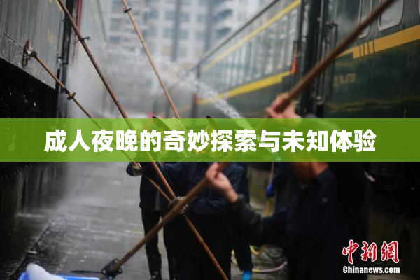 成人夜晚的奇妙探索与未知体验
