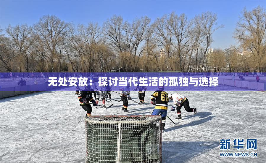 无处安放：探讨当代生活的孤独与选择