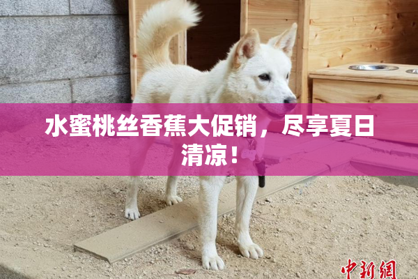 水蜜桃丝香蕉大促销，尽享夏日清凉！