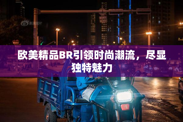 欧美精品BR引领时尚潮流，尽显独特魅力