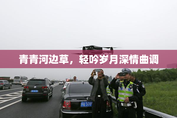 青青河边草，轻吟岁月深情曲调