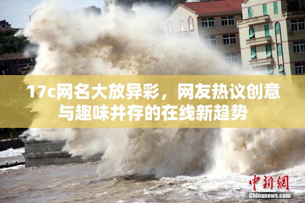 17c网名大放异彩，网友热议创意与趣味并存的在线新趋势