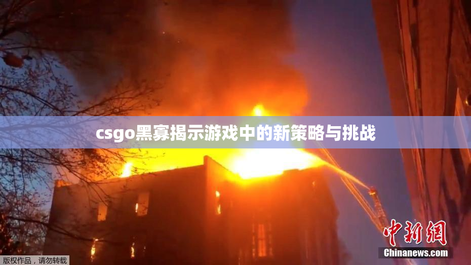 csgo黑寡揭示游戏中的新策略与挑战