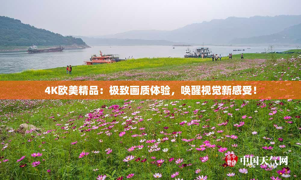 4K欧美精品：极致画质体验，唤醒视觉新感受！