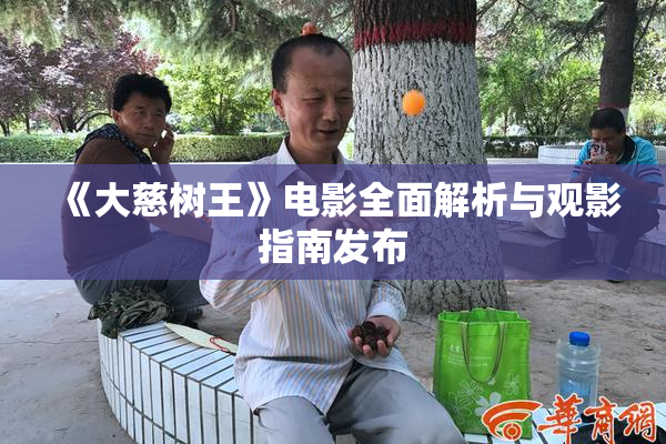 《大慈树王》电影全面解析与观影指南发布