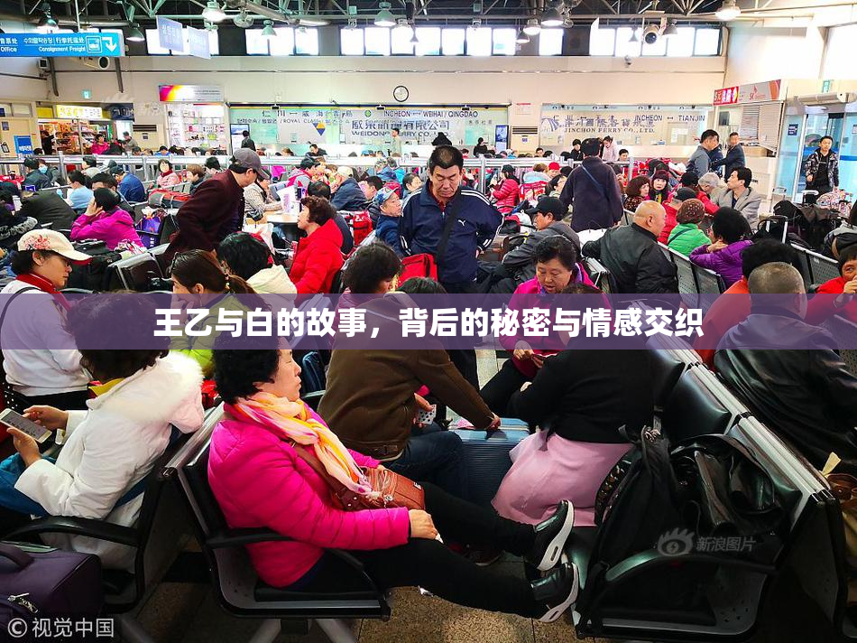 王乙与白的故事，背后的秘密与情感交织