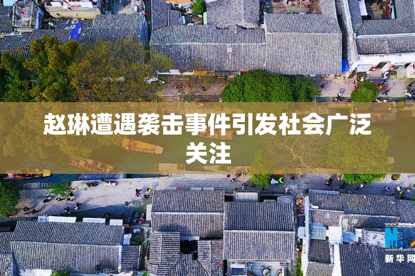 赵琳遭遇袭击事件引发社会广泛关注