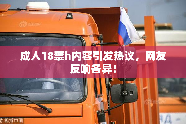 成人18禁h内容引发热议，网友反响各异！