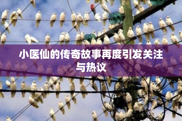 小医仙的传奇故事再度引发关注与热议