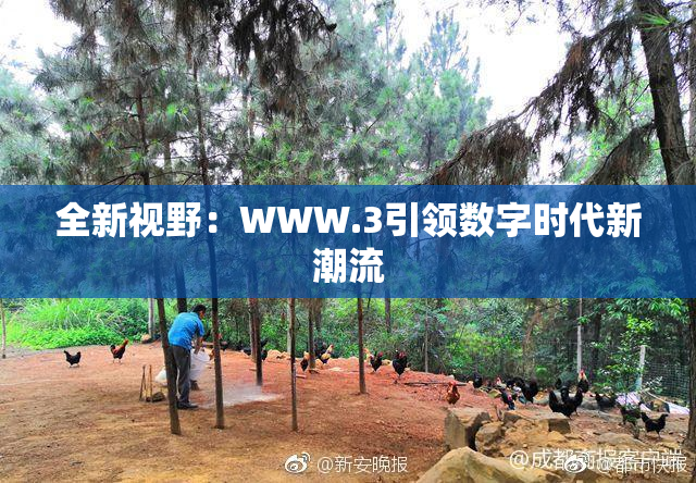 全新视野：WWW.3引领数字时代新潮流