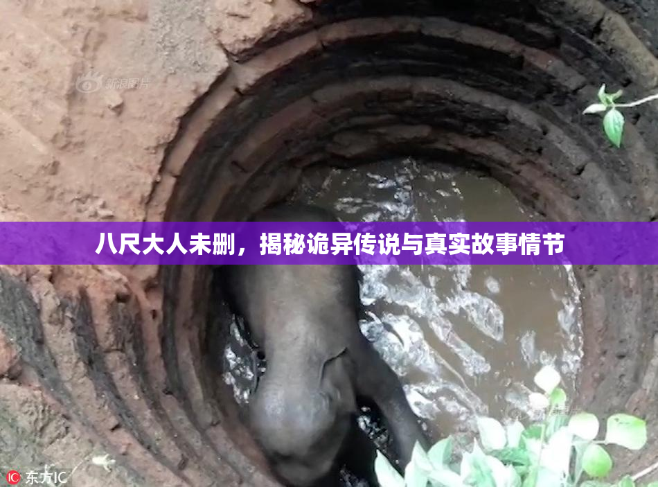 八尺大人未删，揭秘诡异传说与真实故事情节