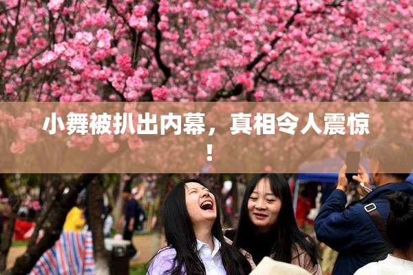 小舞被扒出内幕，真相令人震惊！