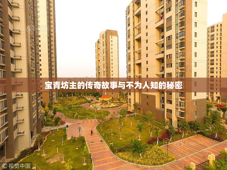 宝青坊主的传奇故事与不为人知的秘密