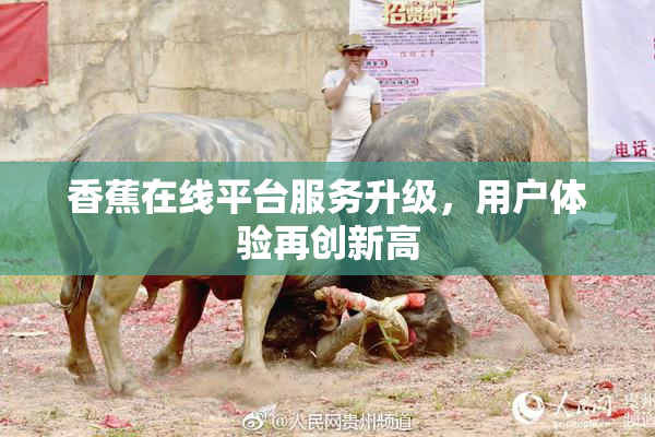 香蕉在线平台服务升级，用户体验再创新高