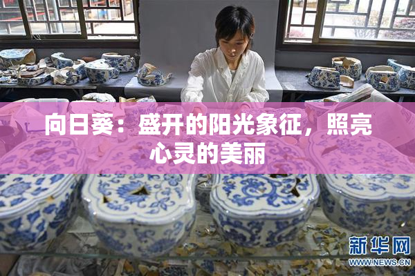 向日葵：盛开的阳光象征，照亮心灵的美丽