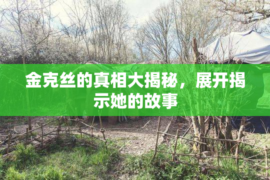 金克丝的真相大揭秘，展开揭示她的故事