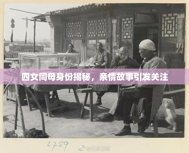 四女同母身份揭秘，亲情故事引发关注