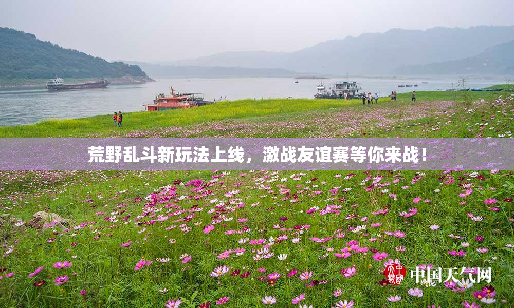 荒野乱斗新玩法上线，激战友谊赛等你来战！