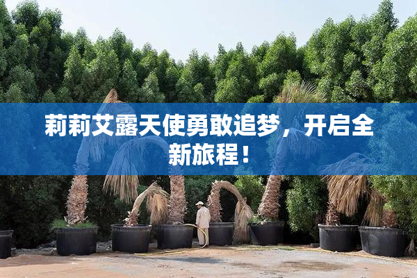 莉莉艾露天使勇敢追梦，开启全新旅程！