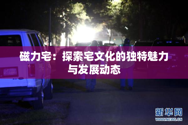 磁力宅：探索宅文化的独特魅力与发展动态
