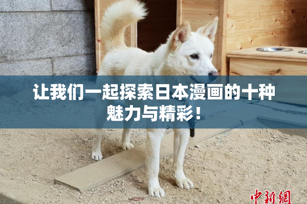 让我们一起探索日本漫画的十种魅力与精彩！