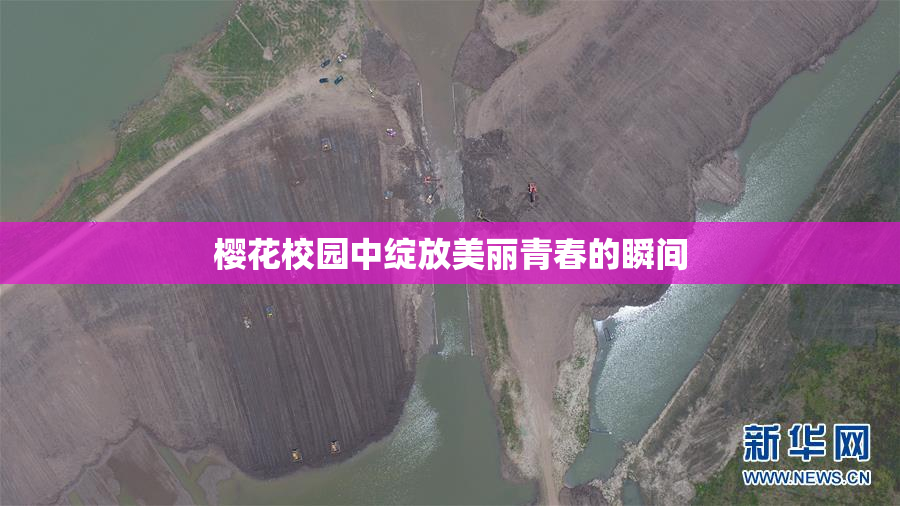 樱花校园中绽放美丽青春的瞬间
