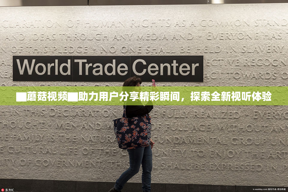 ▇蘑菇视频▇助力用户分享精彩瞬间，探索全新视听体验